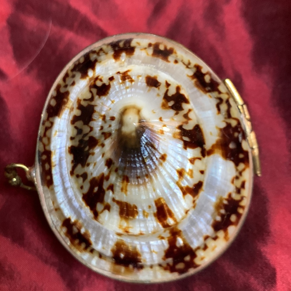 Shell Box